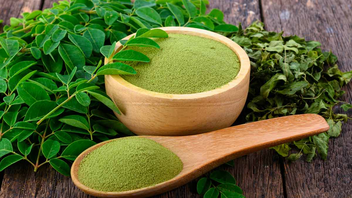 Moringa Powders